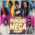 Punjabi Mega Mashup 2024 - Dip SR X Pritz Mp3